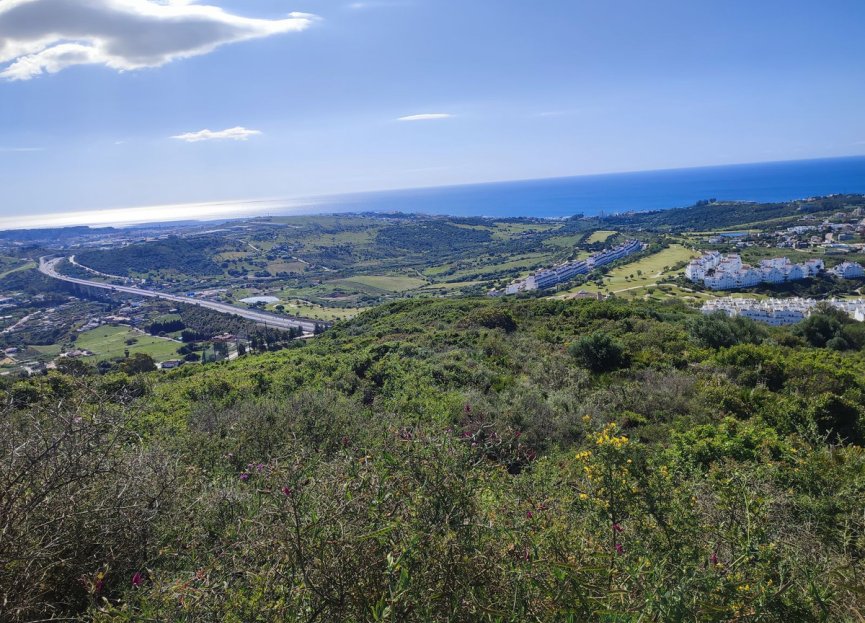 Resale - Plot - Land - Estepona - Estepona Centro