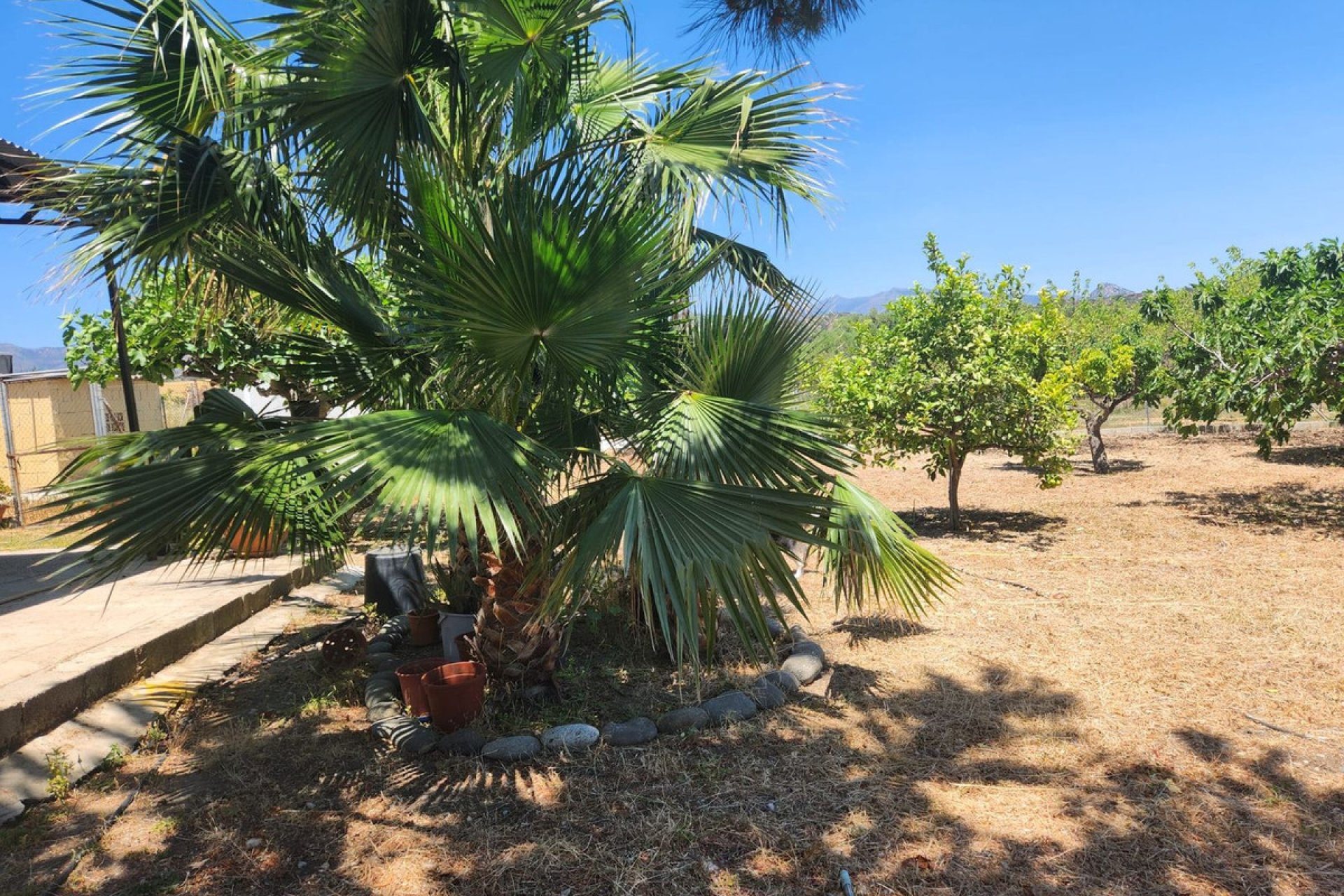 Resale - Plot - Land - Estepona - Estepona Centro