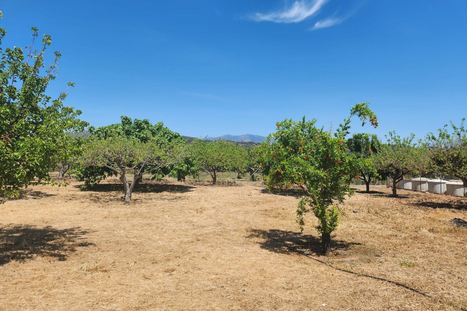 Resale - Plot - Land - Estepona - Estepona Centro