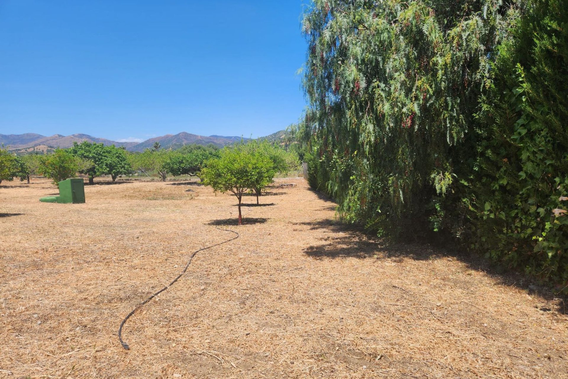 Resale - Plot - Land - Estepona - Estepona Centro