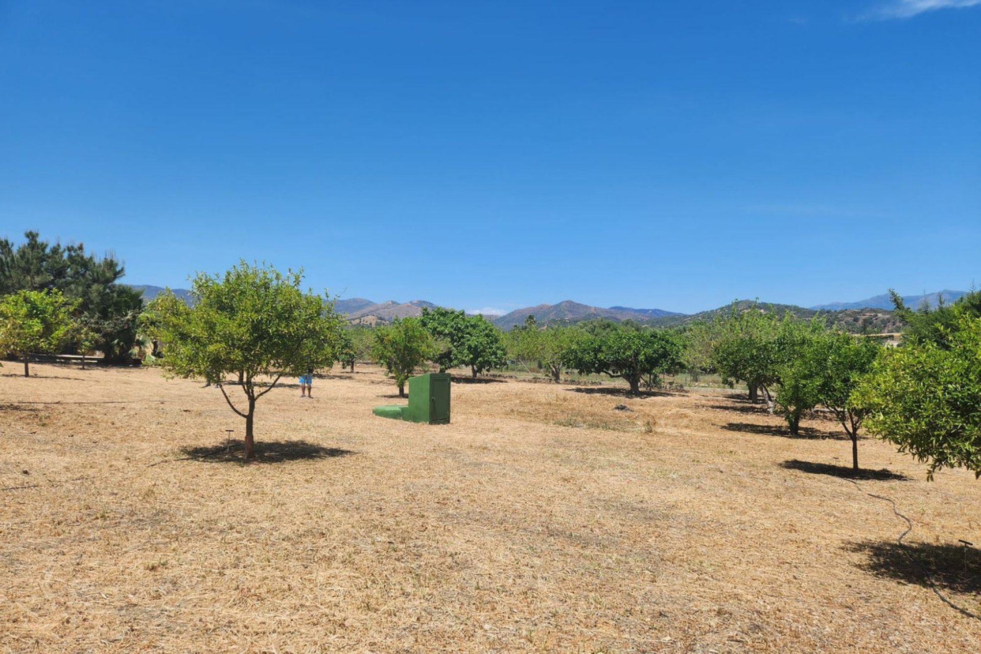 Resale - Plot - Land - Estepona - Estepona Centro