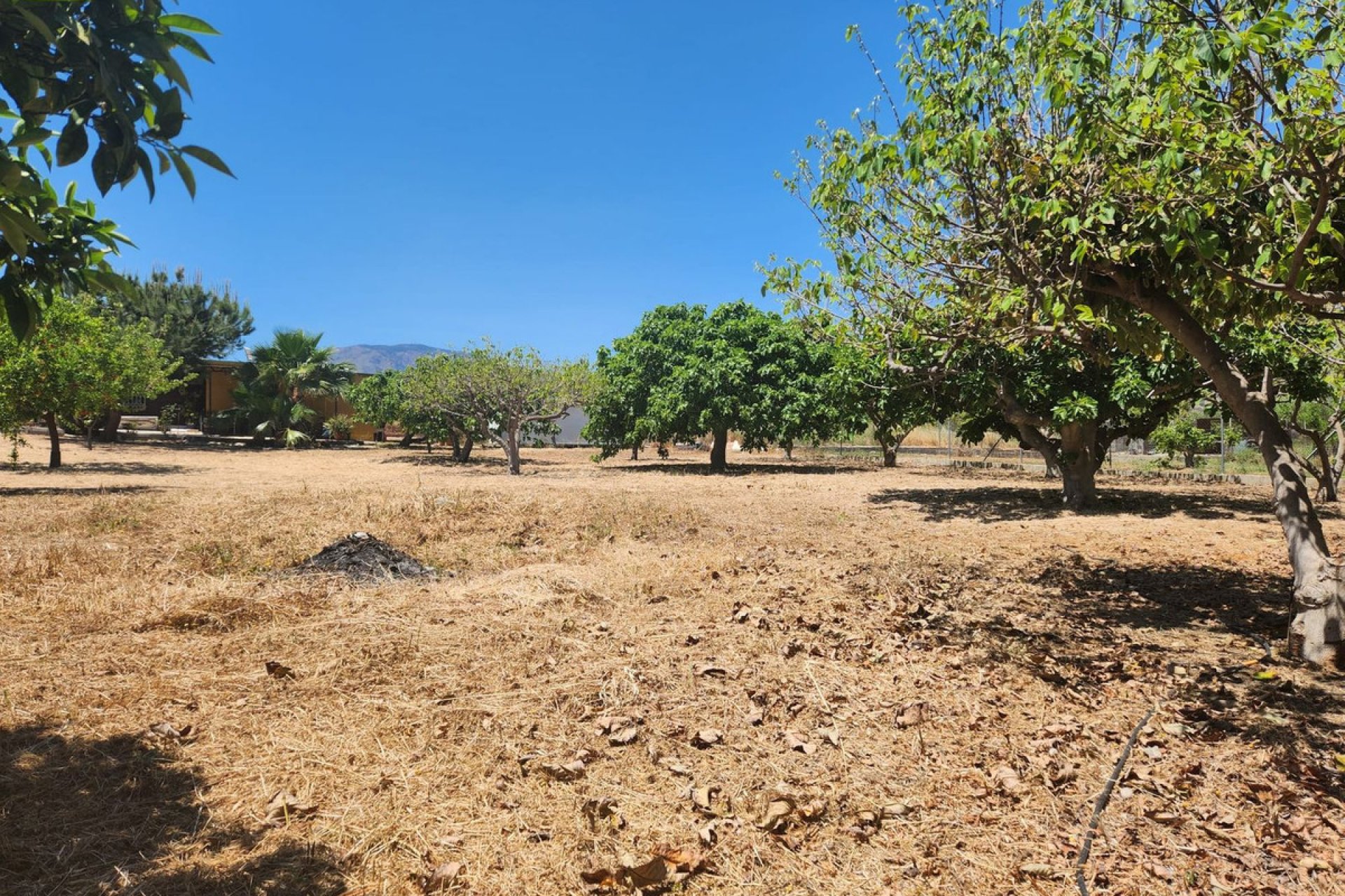 Resale - Plot - Land - Estepona - Estepona Centro