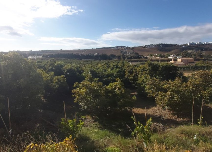 Resale - Plot - Land - Estepona - Estepona Centro