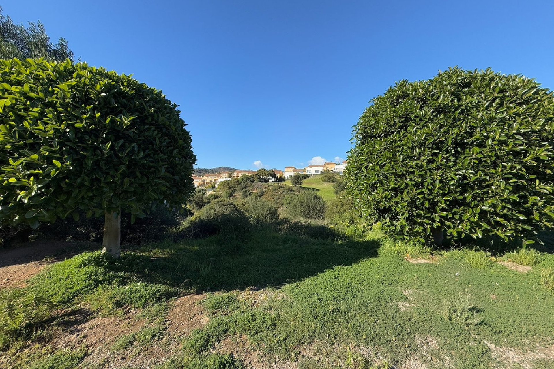 Resale - Plot - Land - Estepona - Estepona Centro