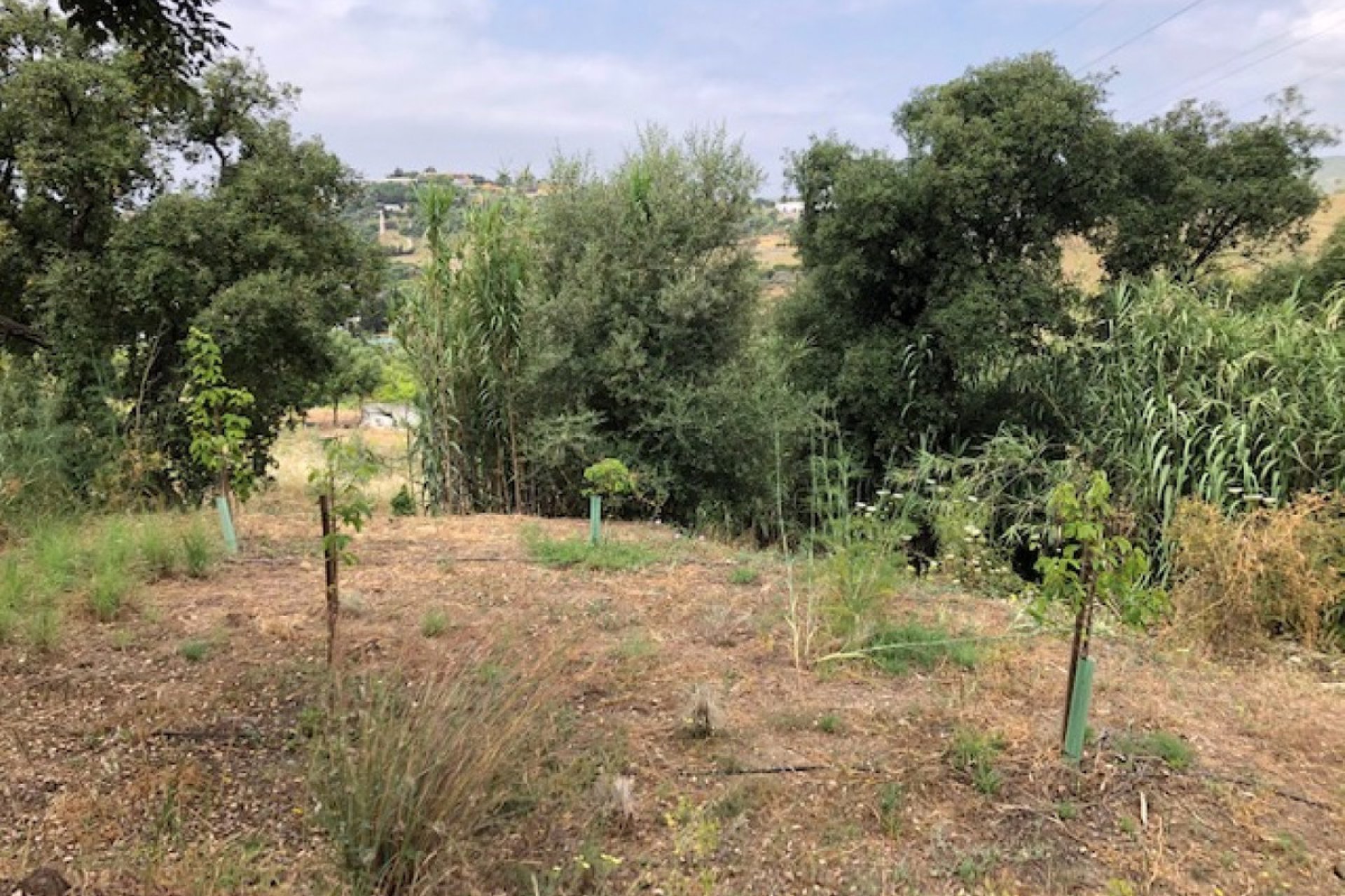 Resale - Plot - Land - Estepona - Estepona Centro