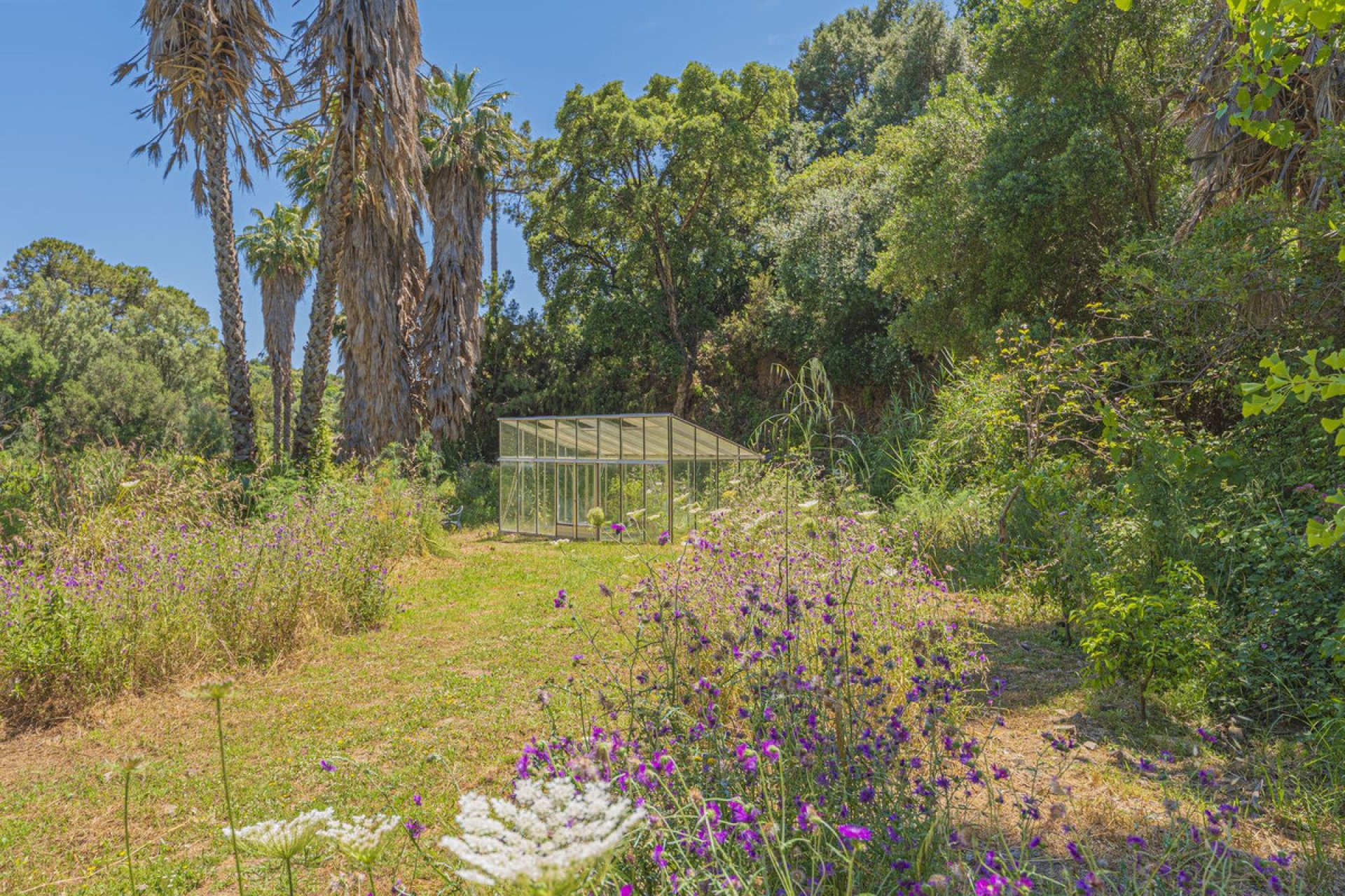 Resale - Plot - Land - Estepona - Estepona Centro