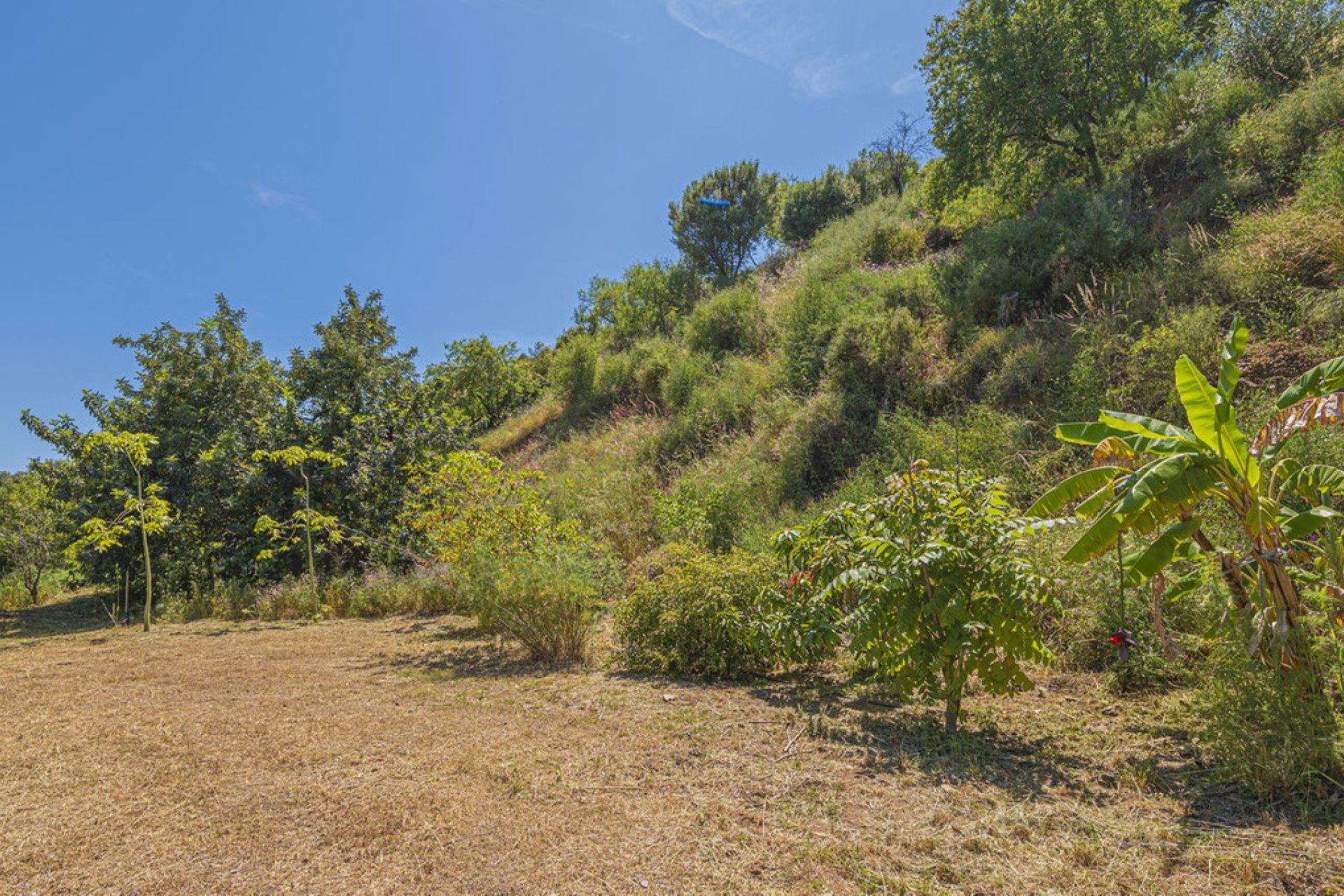 Resale - Plot - Land - Estepona - Estepona Centro