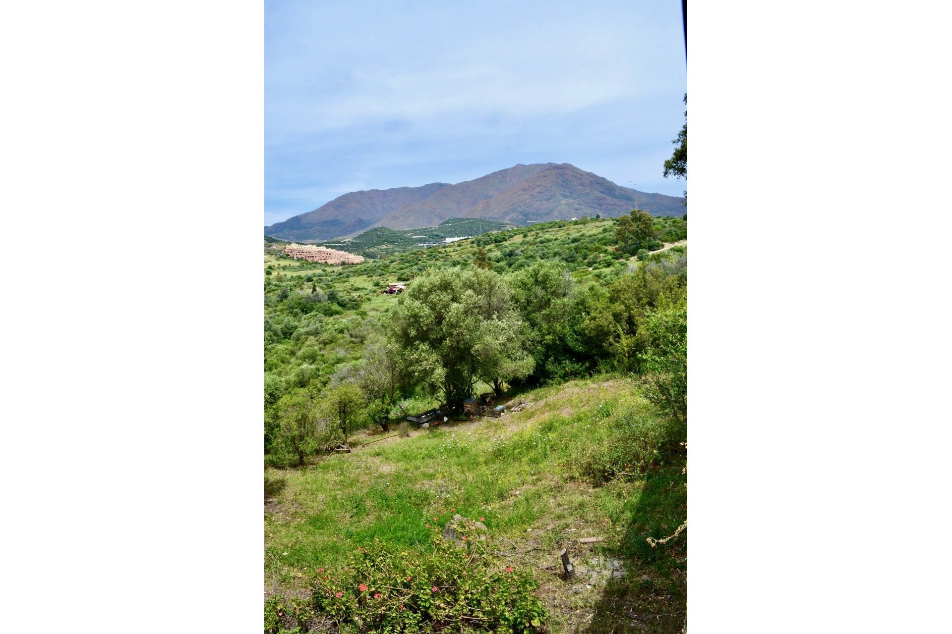 Resale - Plot - Land - Estepona - Estepona Centro