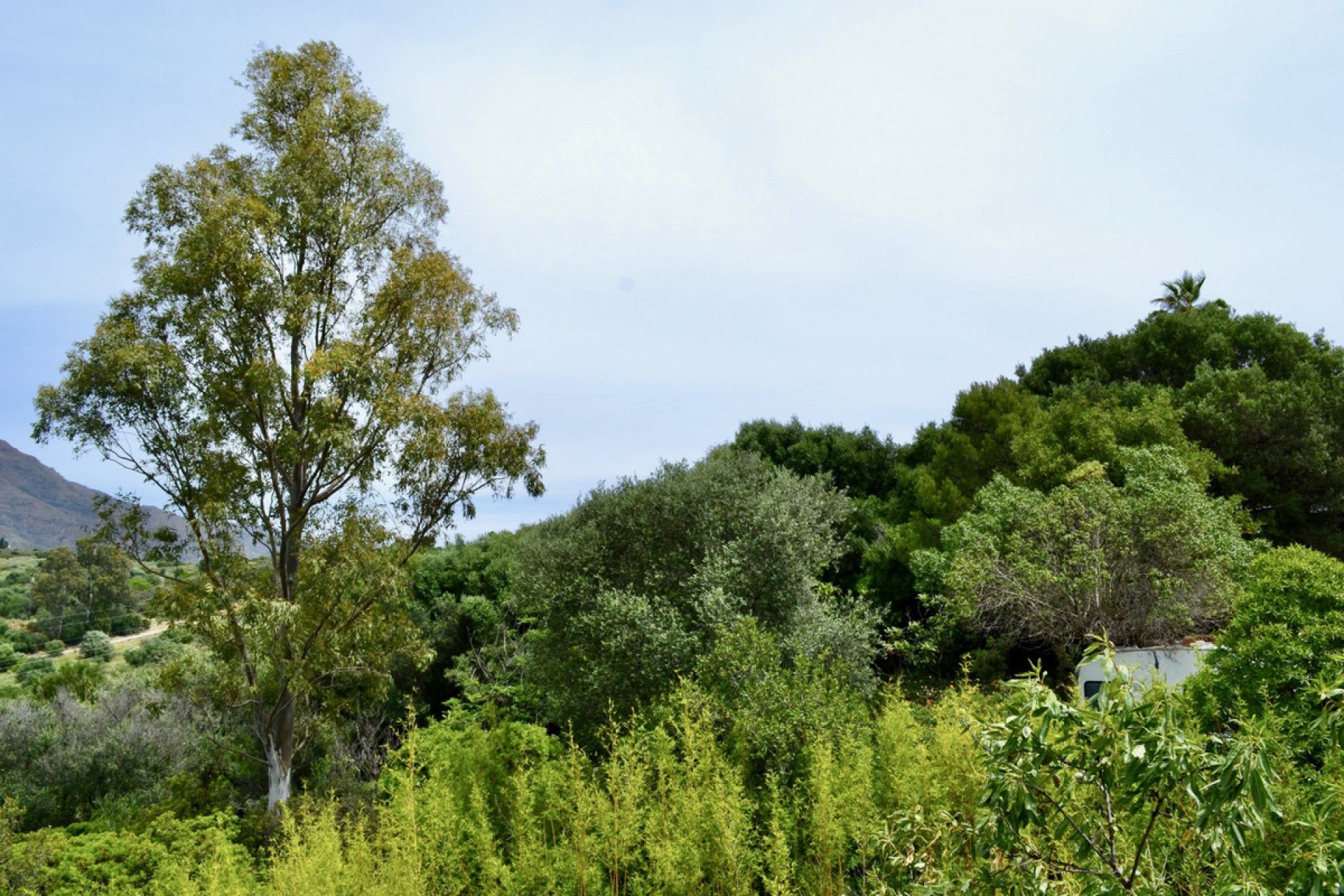 Resale - Plot - Land - Estepona - Estepona Centro