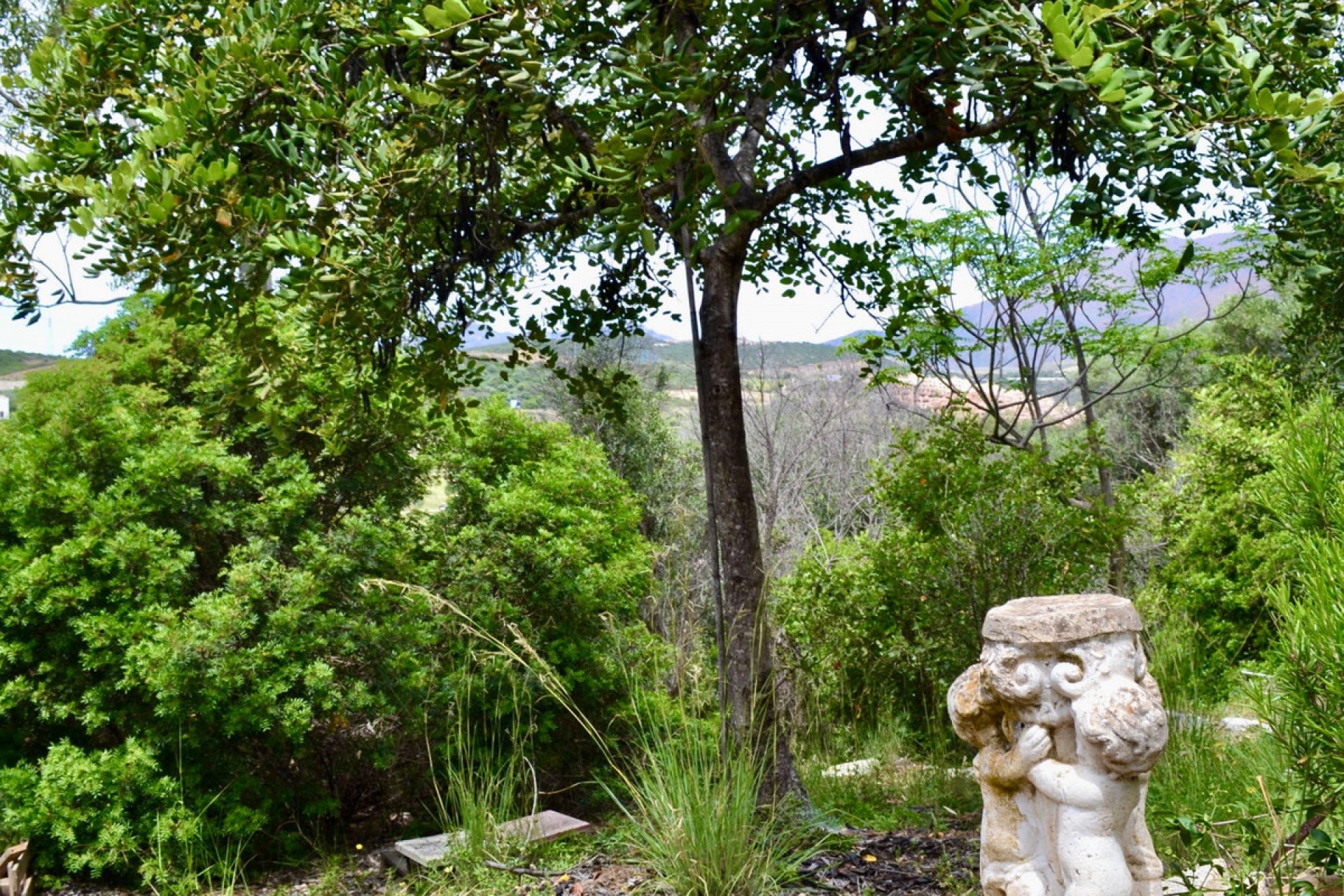 Resale - Plot - Land - Estepona - Estepona Centro