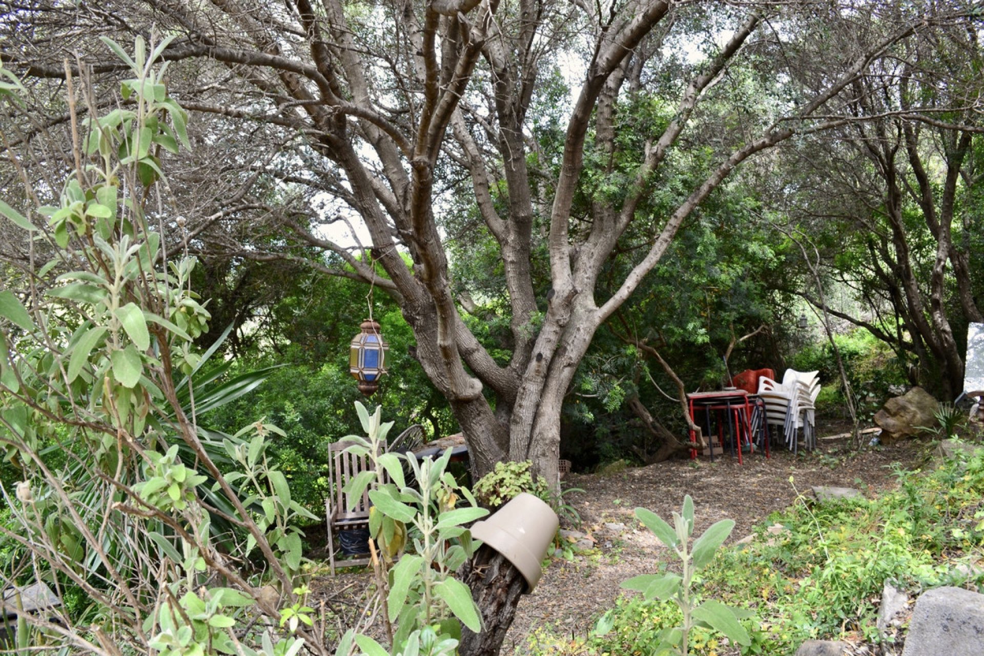 Resale - Plot - Land - Estepona - Estepona Centro