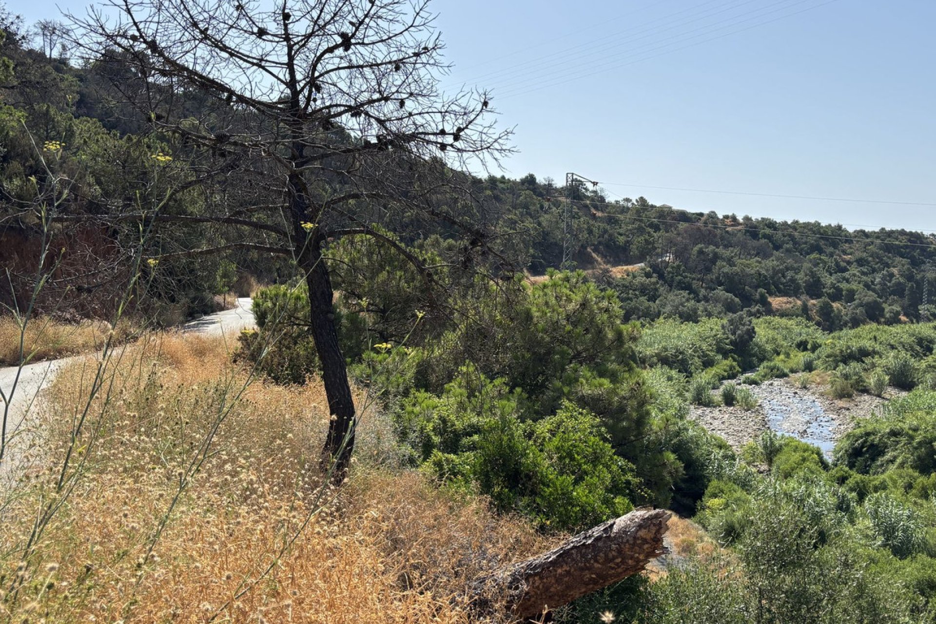 Resale - Plot - Land - Estepona - Estepona Centro