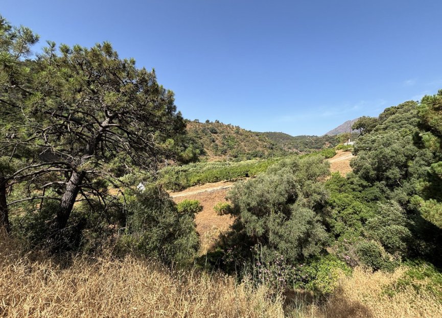 Resale - Plot - Land - Estepona - Estepona Centro