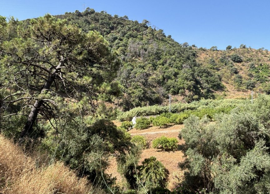 Resale - Plot - Land - Estepona - Estepona Centro