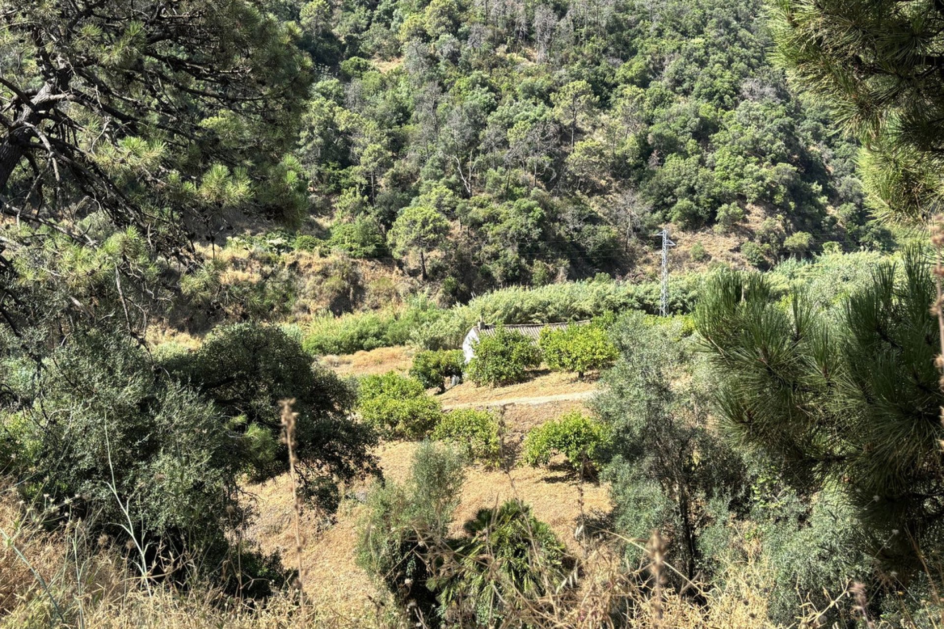 Resale - Plot - Land - Estepona - Estepona Centro