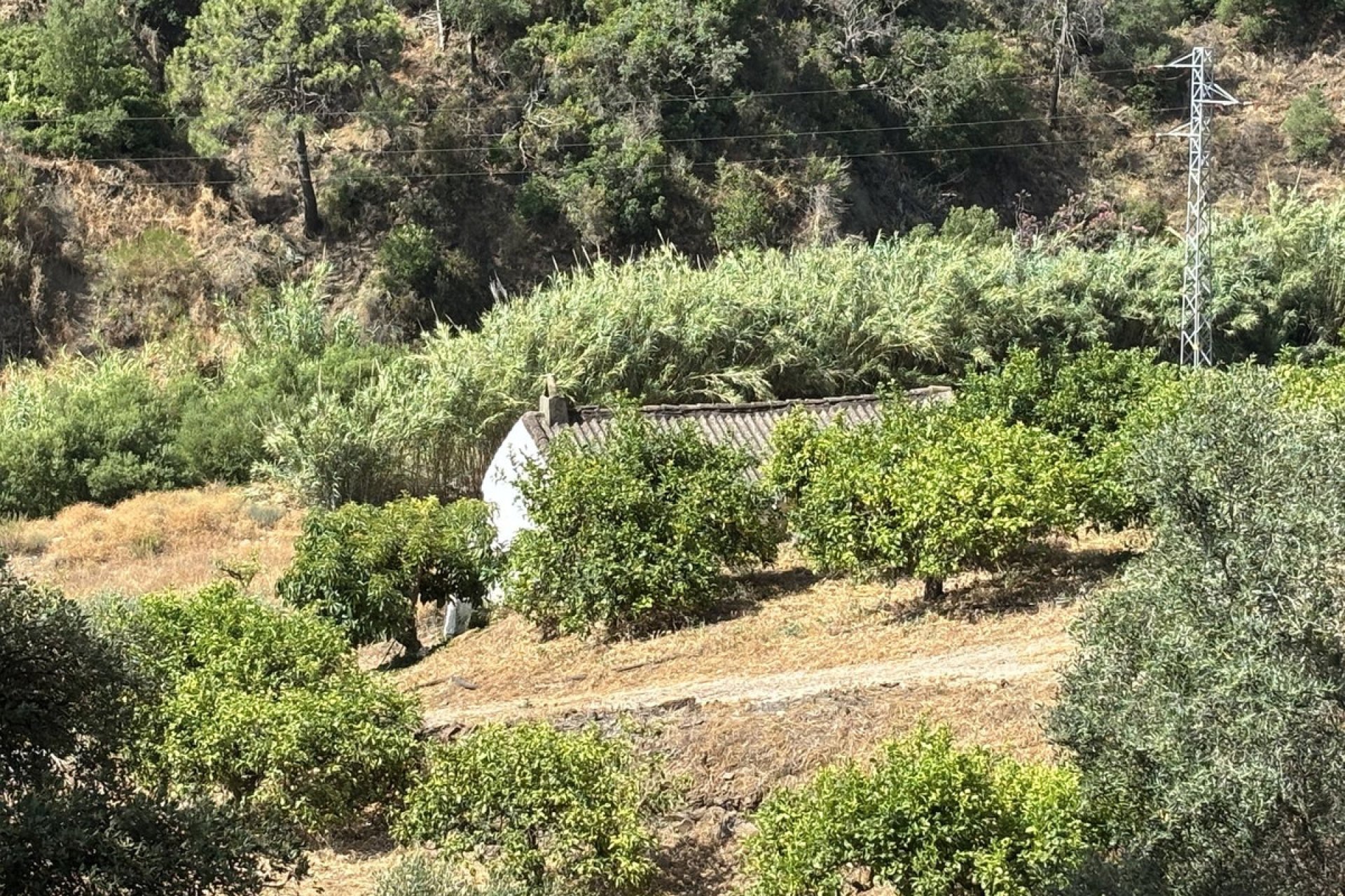 Resale - Plot - Land - Estepona - Estepona Centro