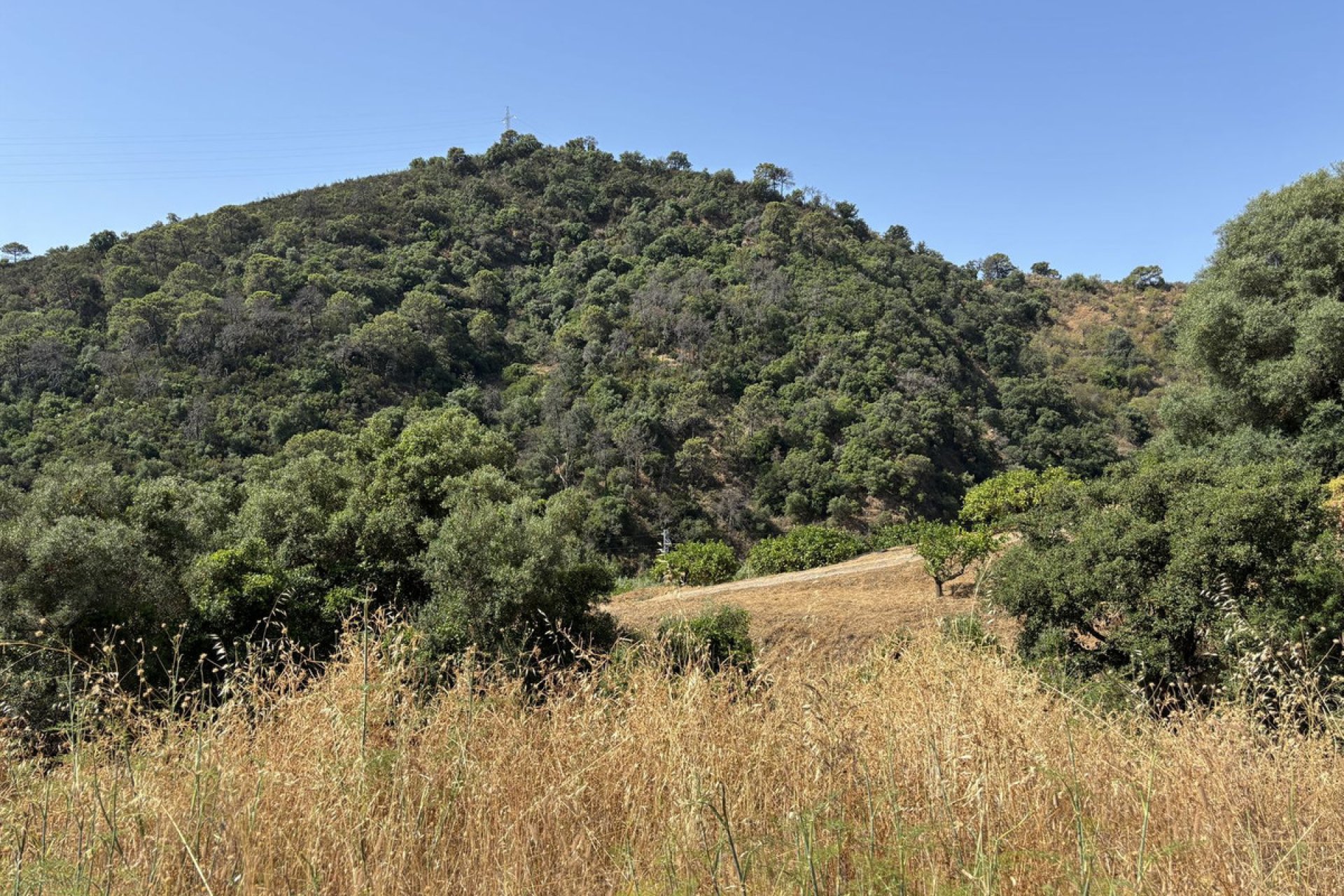 Resale - Plot - Land - Estepona - Estepona Centro