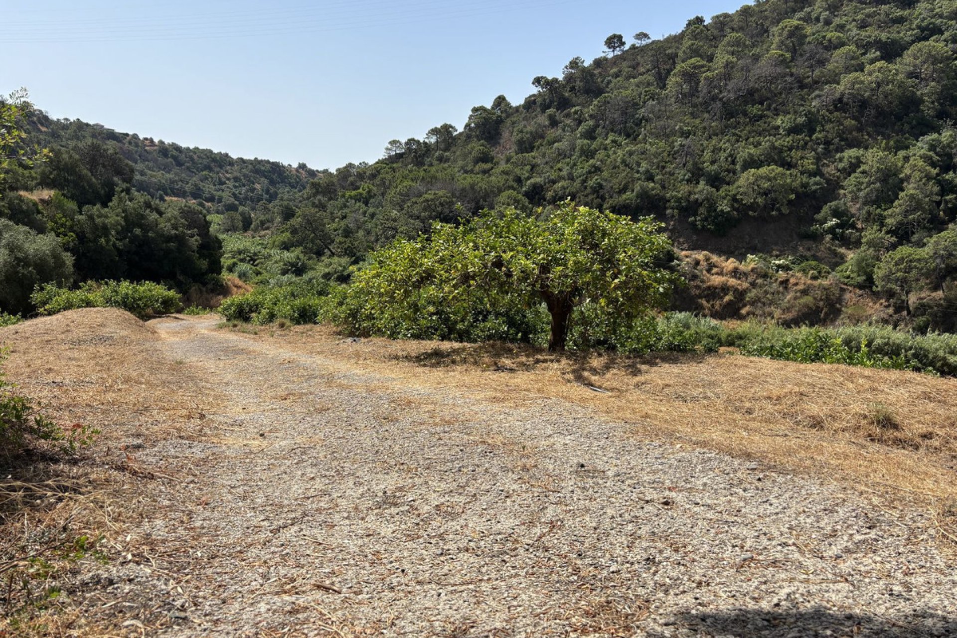 Resale - Plot - Land - Estepona - Estepona Centro