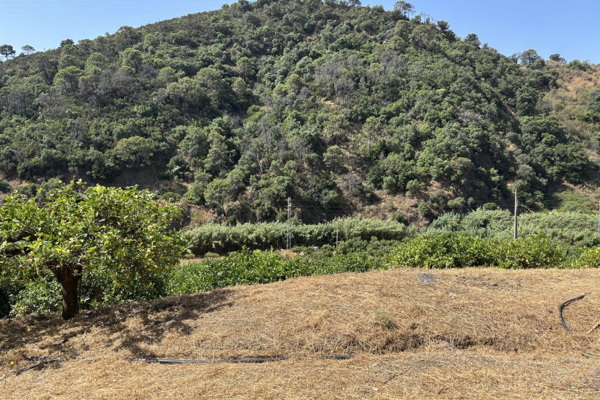 Resale - Plot - Land - Estepona - Estepona Centro