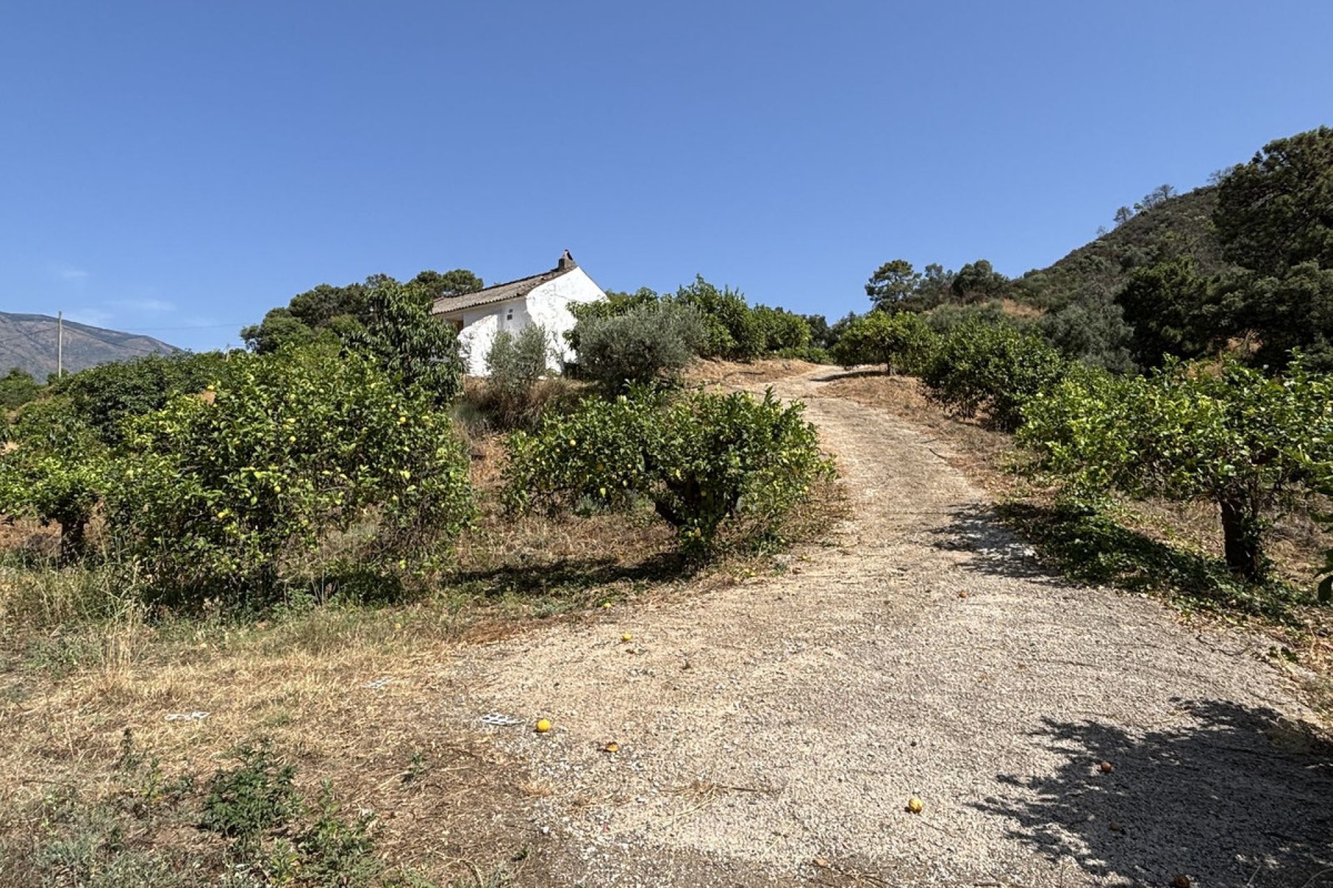 Resale - Plot - Land - Estepona - Estepona Centro