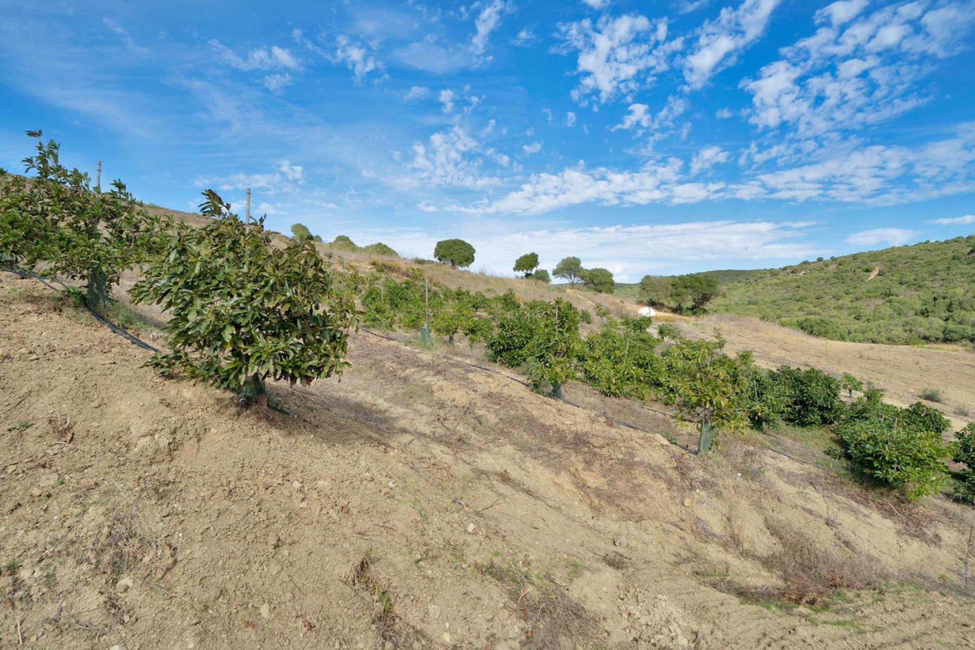 Resale - Plot - Land - Manilva - Manilva Centro