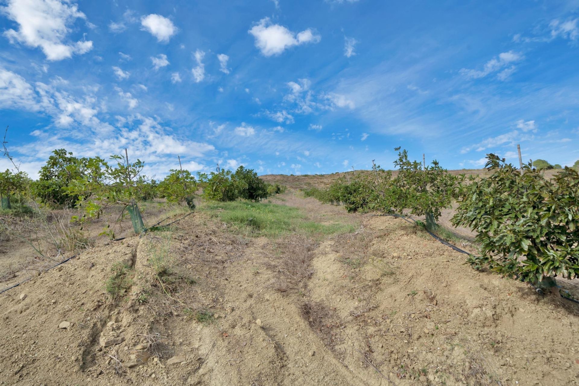 Resale - Plot - Land - Manilva - Manilva Centro