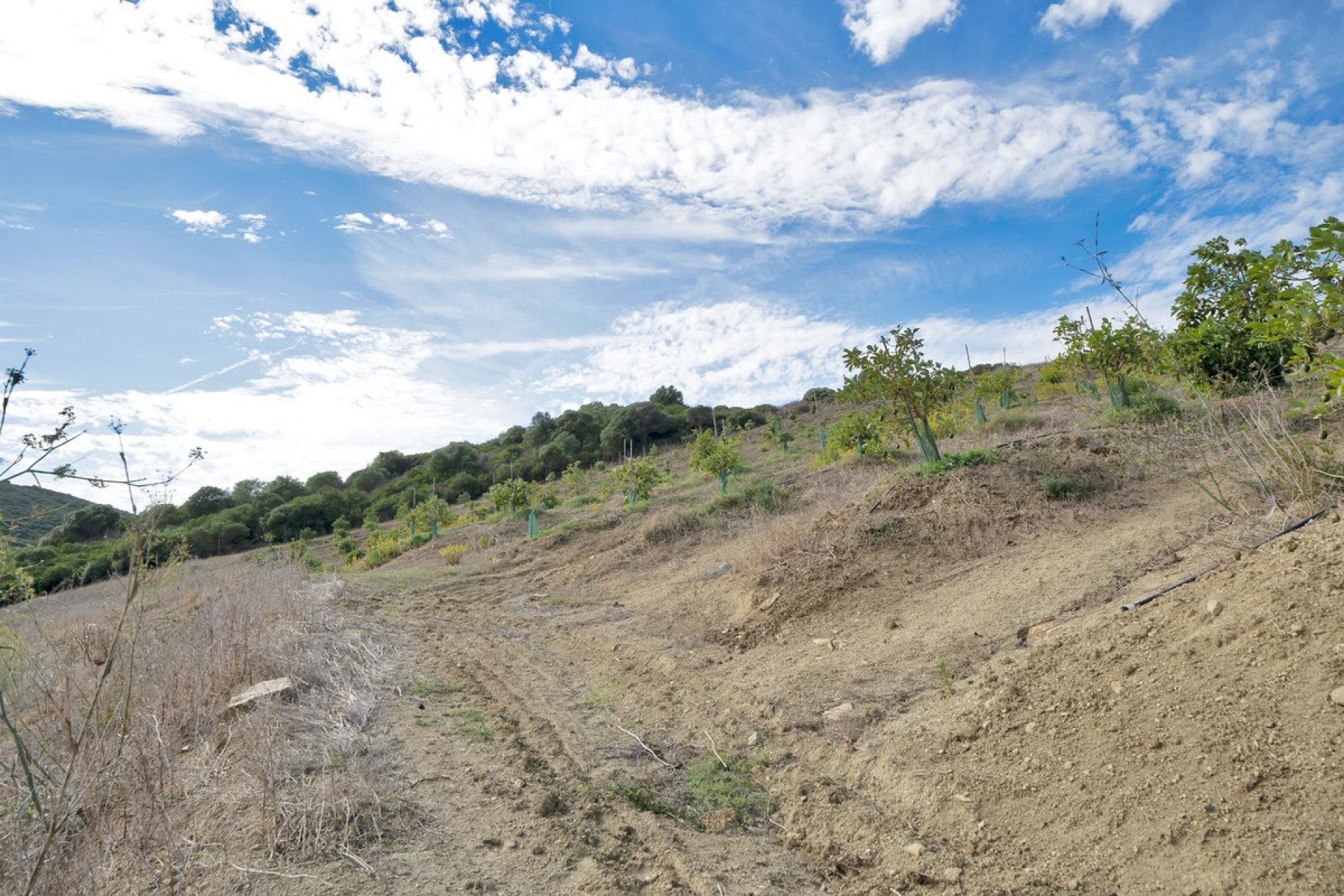 Resale - Plot - Land - Manilva - Manilva Centro