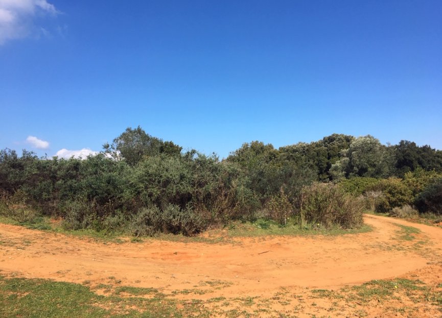 Resale - Plot - Land - Manilva - Manilva Centro