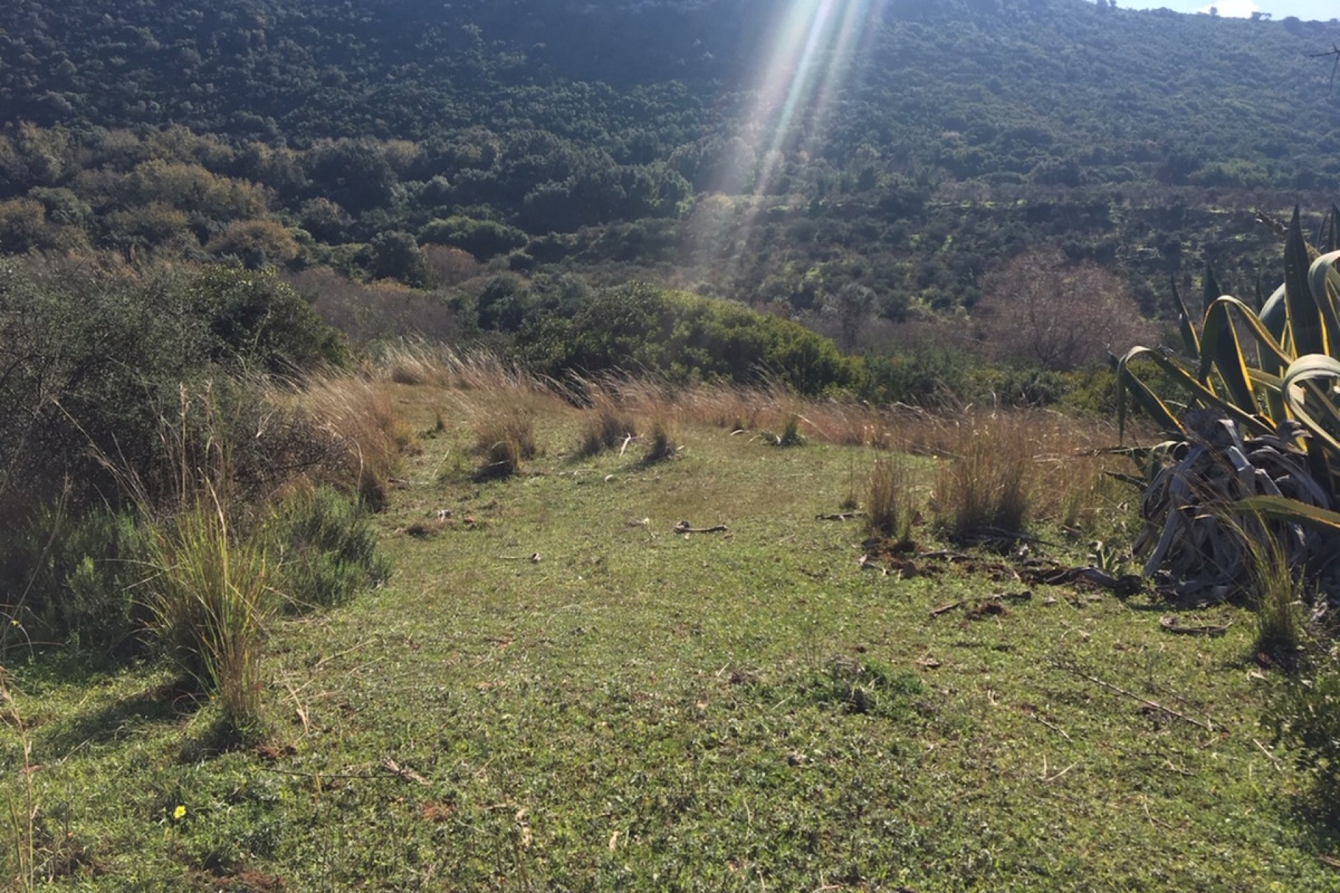 Resale - Plot - Land - Manilva - Manilva Centro