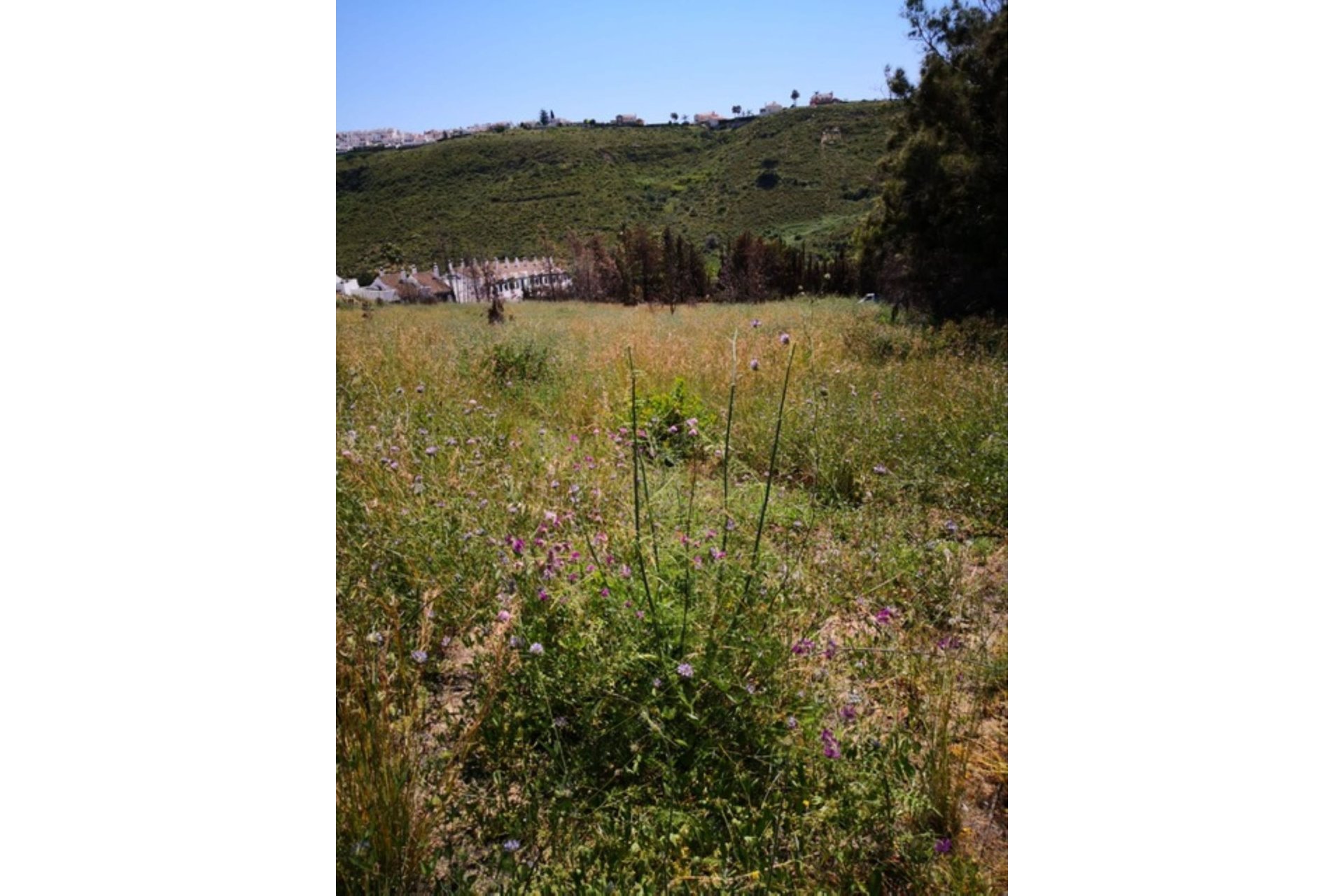 Resale - Plot - Land - Manilva - Manilva Centro