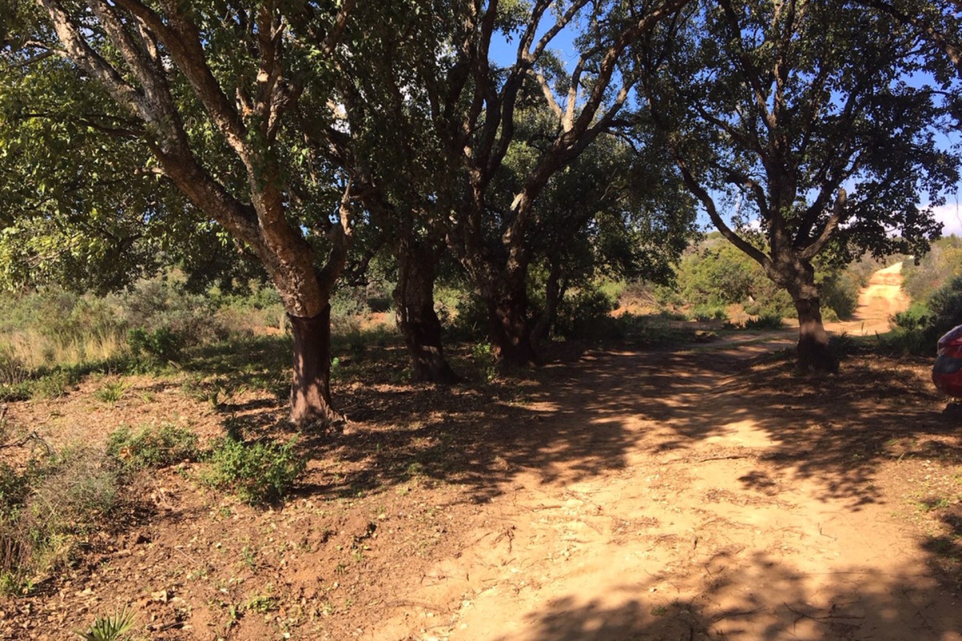 Resale - Plot - Land - Manilva - Manilva Centro