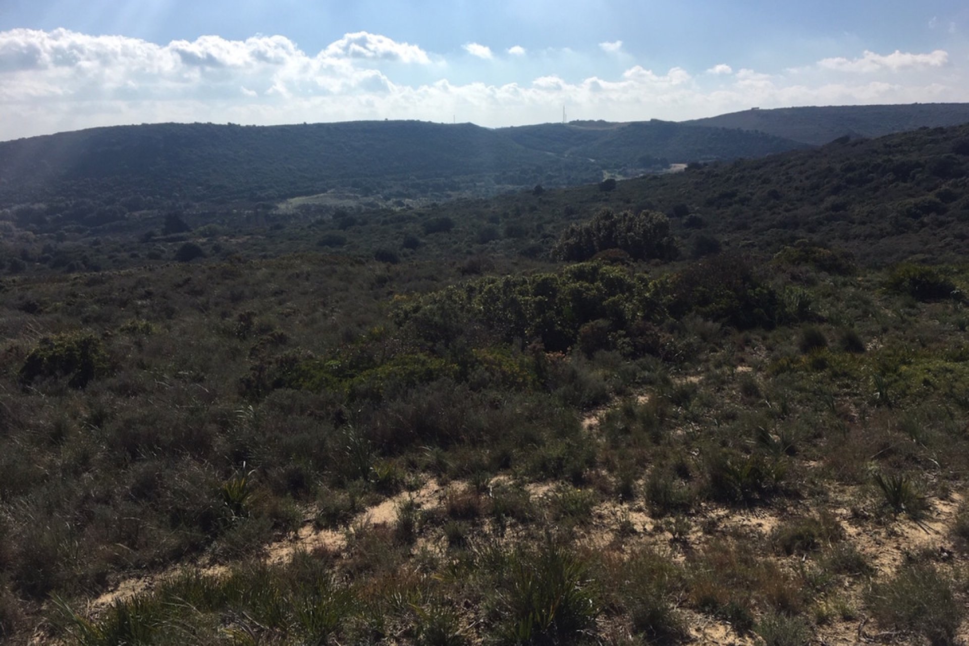 Resale - Plot - Land - Manilva - Manilva Centro