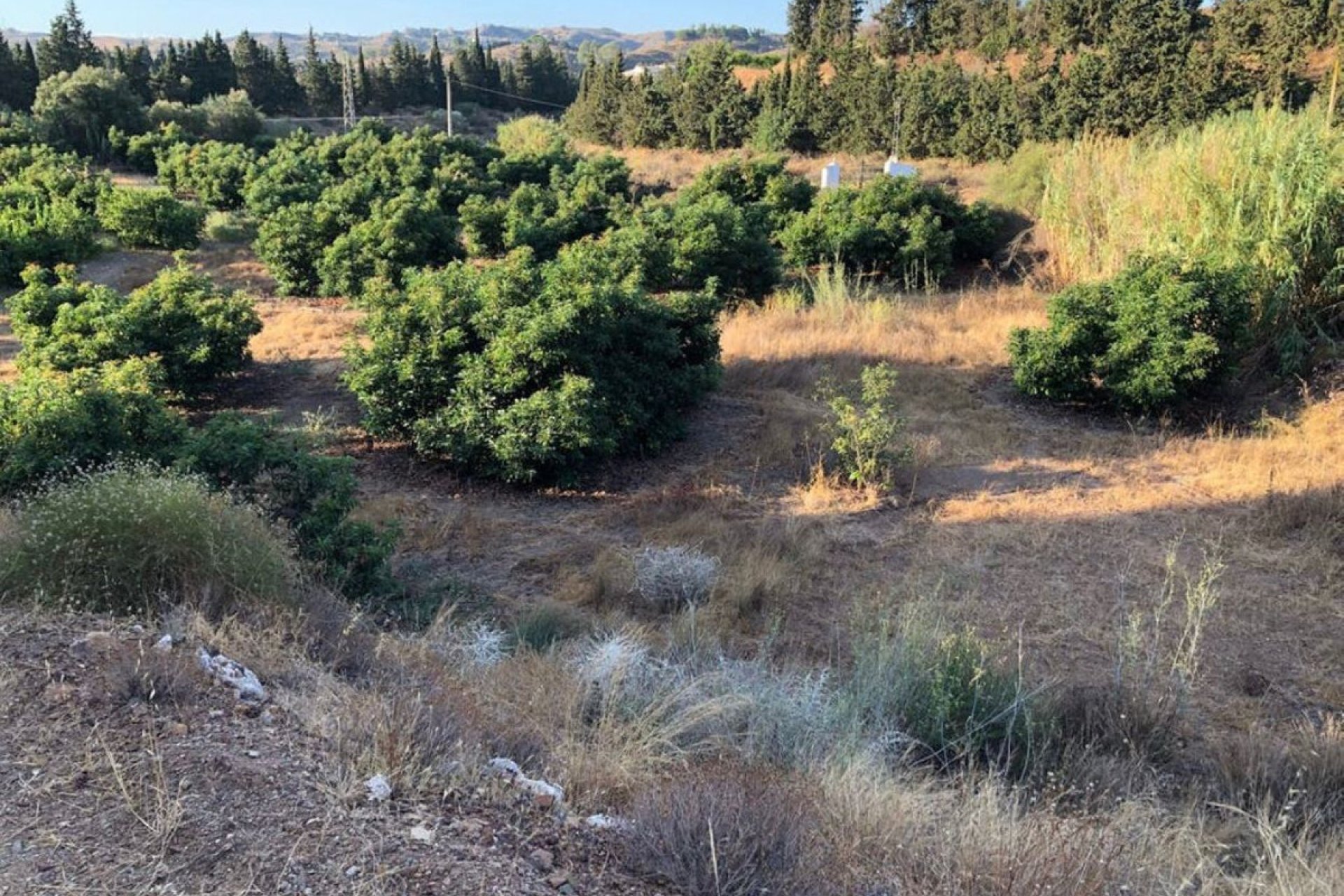 Resale - Plot - Land - Mijas - Entrerrios