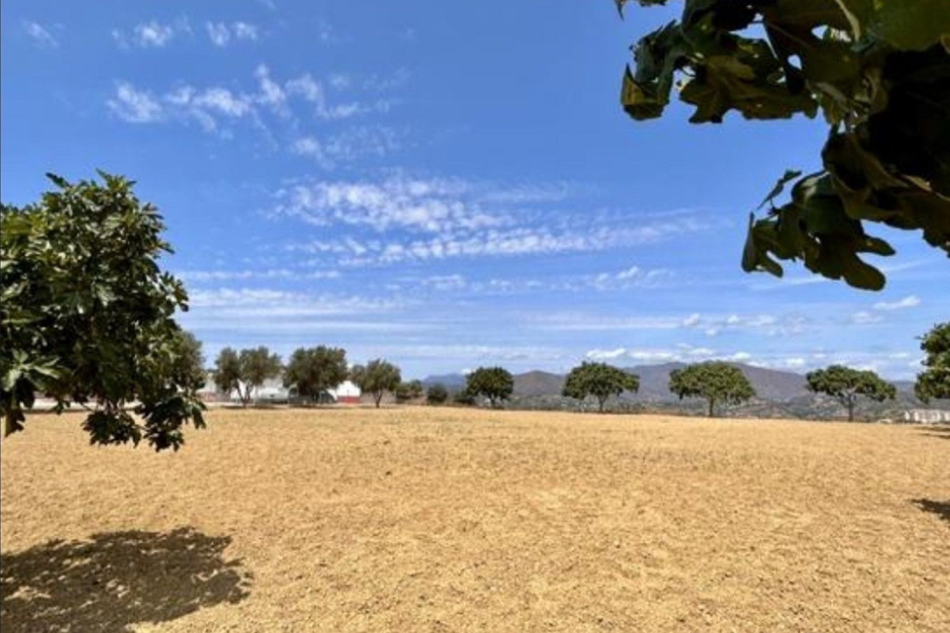 Resale - Plot - Land - Mijas - Mijas Centro