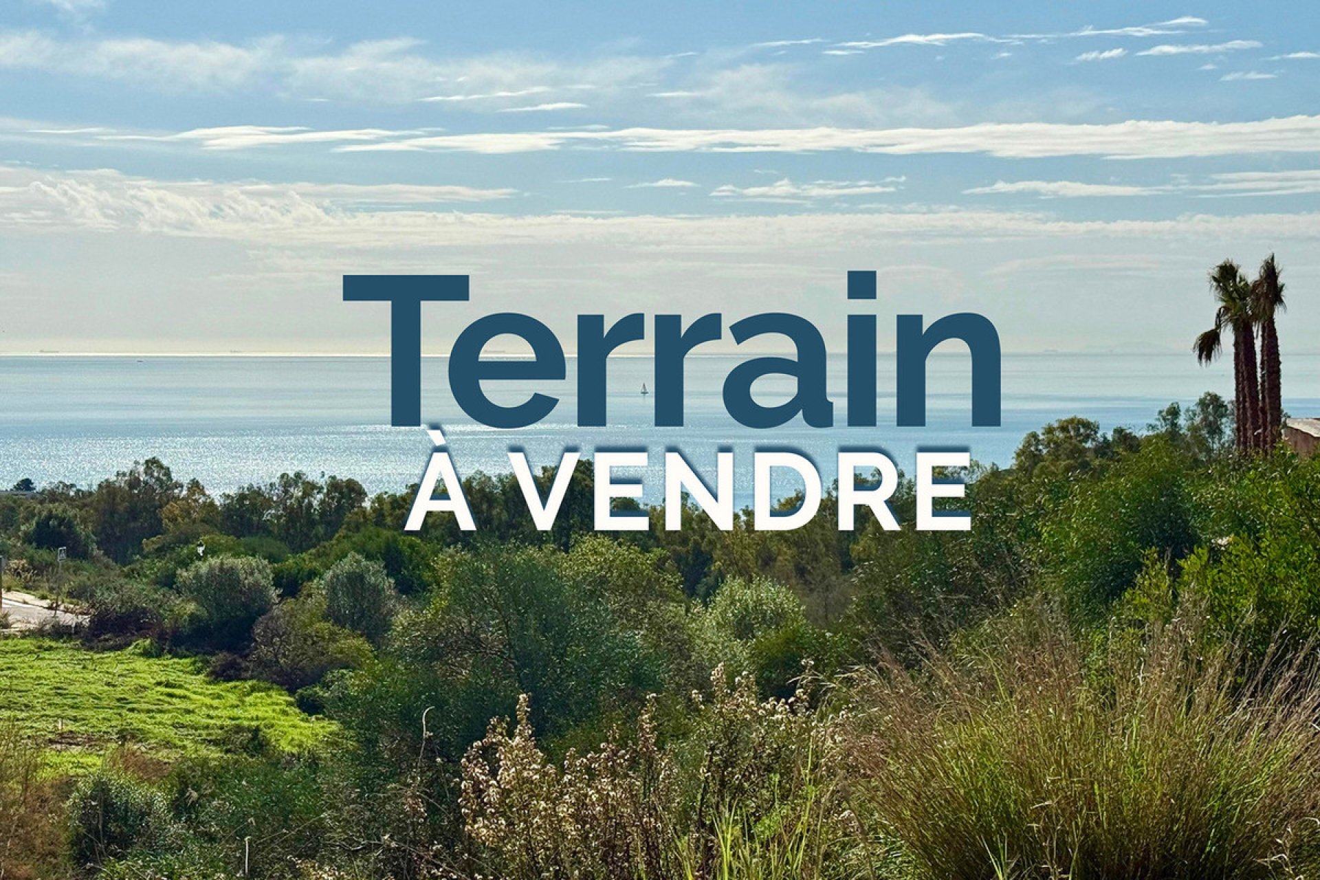 Resale - Plot - Land - San Roque Club