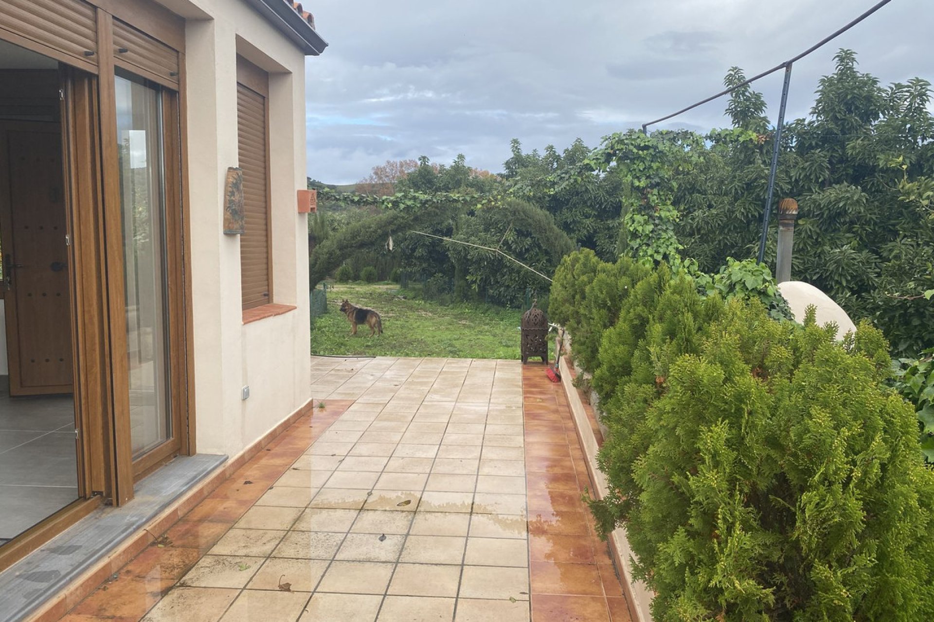 Resale - Plot - Land - Sotogrande