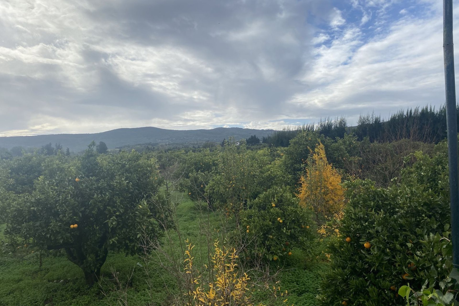 Resale - Plot - Land - Sotogrande