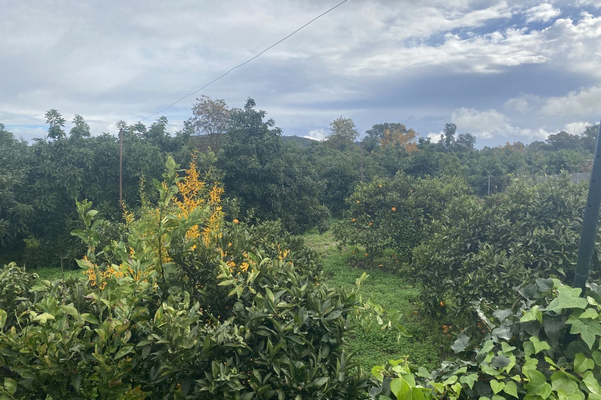 Resale - Plot - Land - Sotogrande