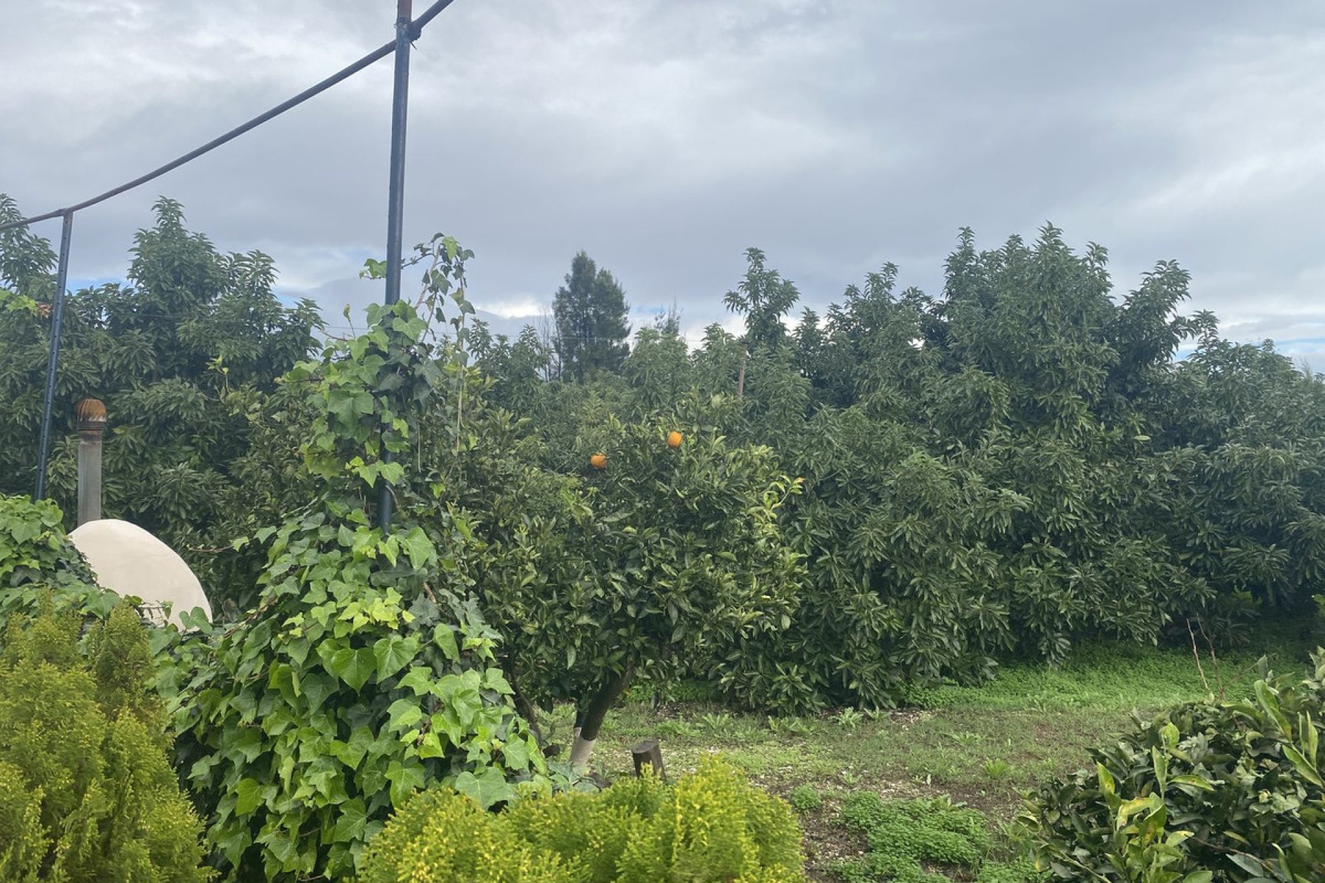 Resale - Plot - Land - Sotogrande