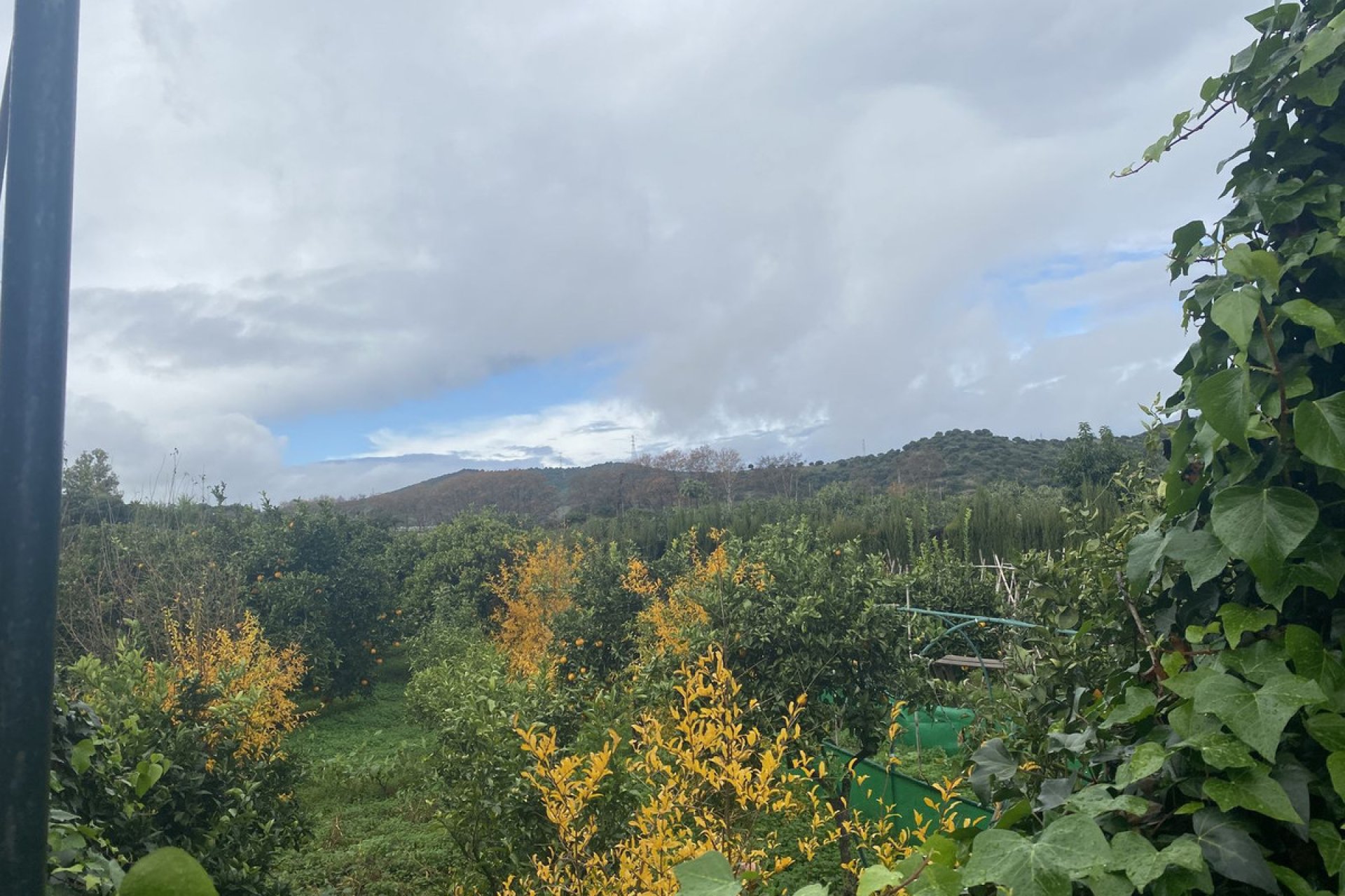 Resale - Plot - Land - Sotogrande