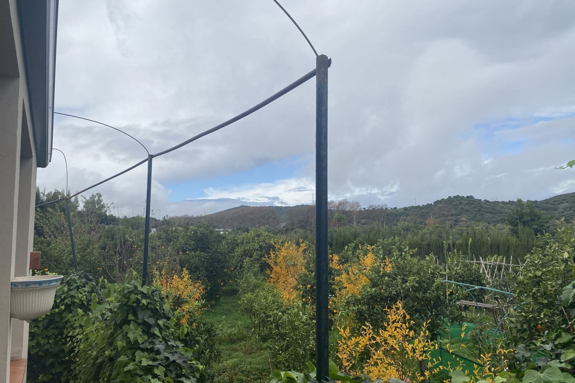 Resale - Plot - Land - Sotogrande