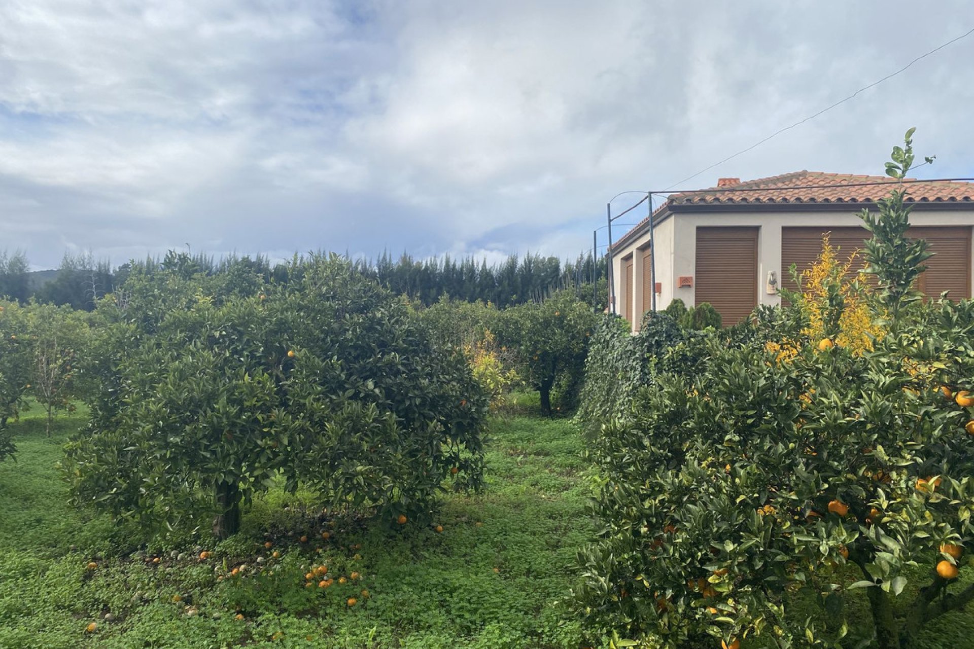 Resale - Plot - Land - Sotogrande