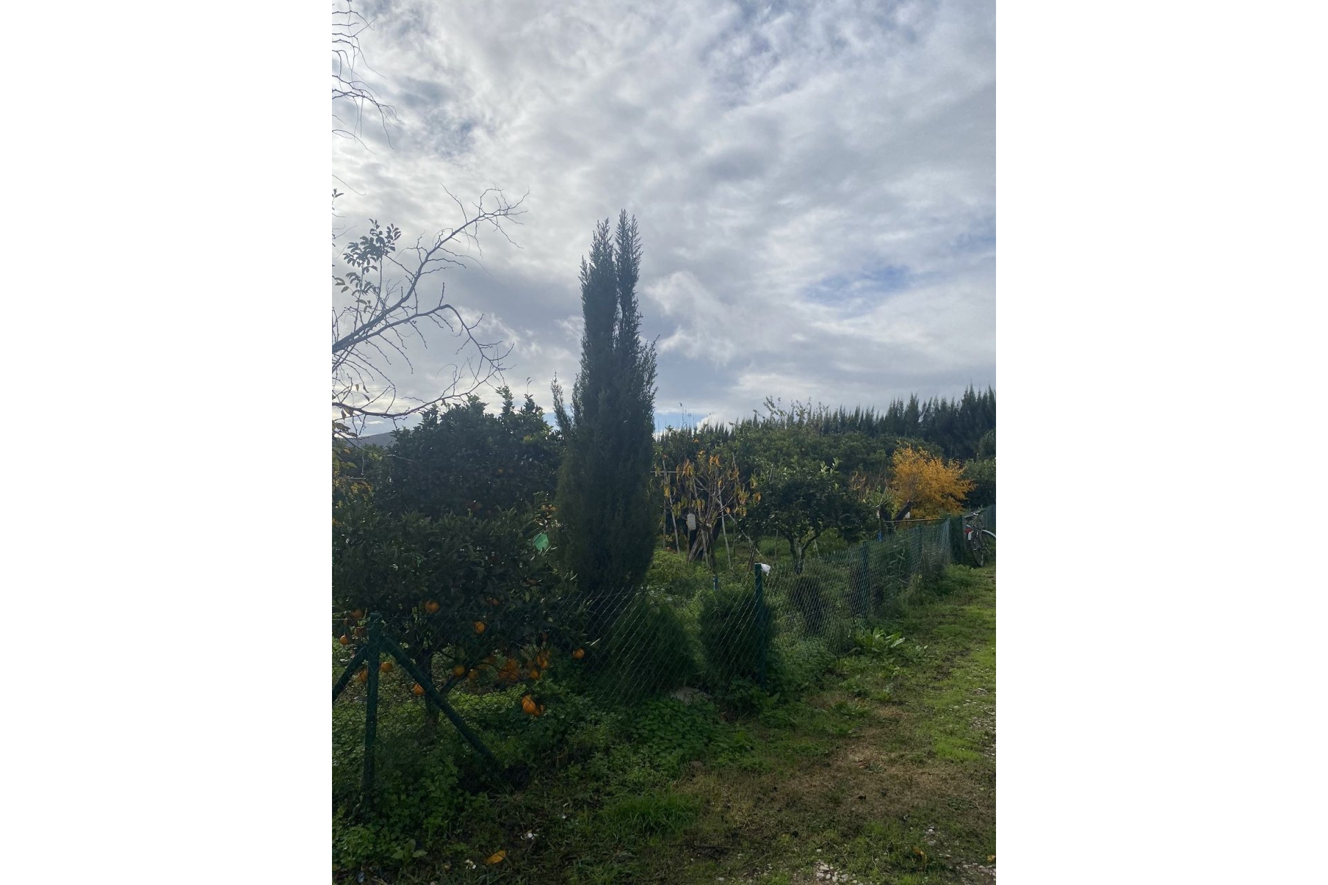 Resale - Plot - Land - Sotogrande