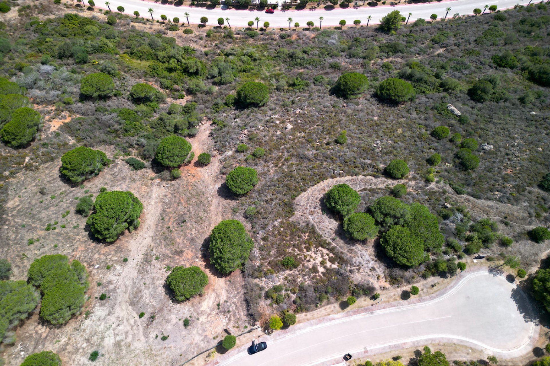 Resale - Plot - Land - Sotogrande