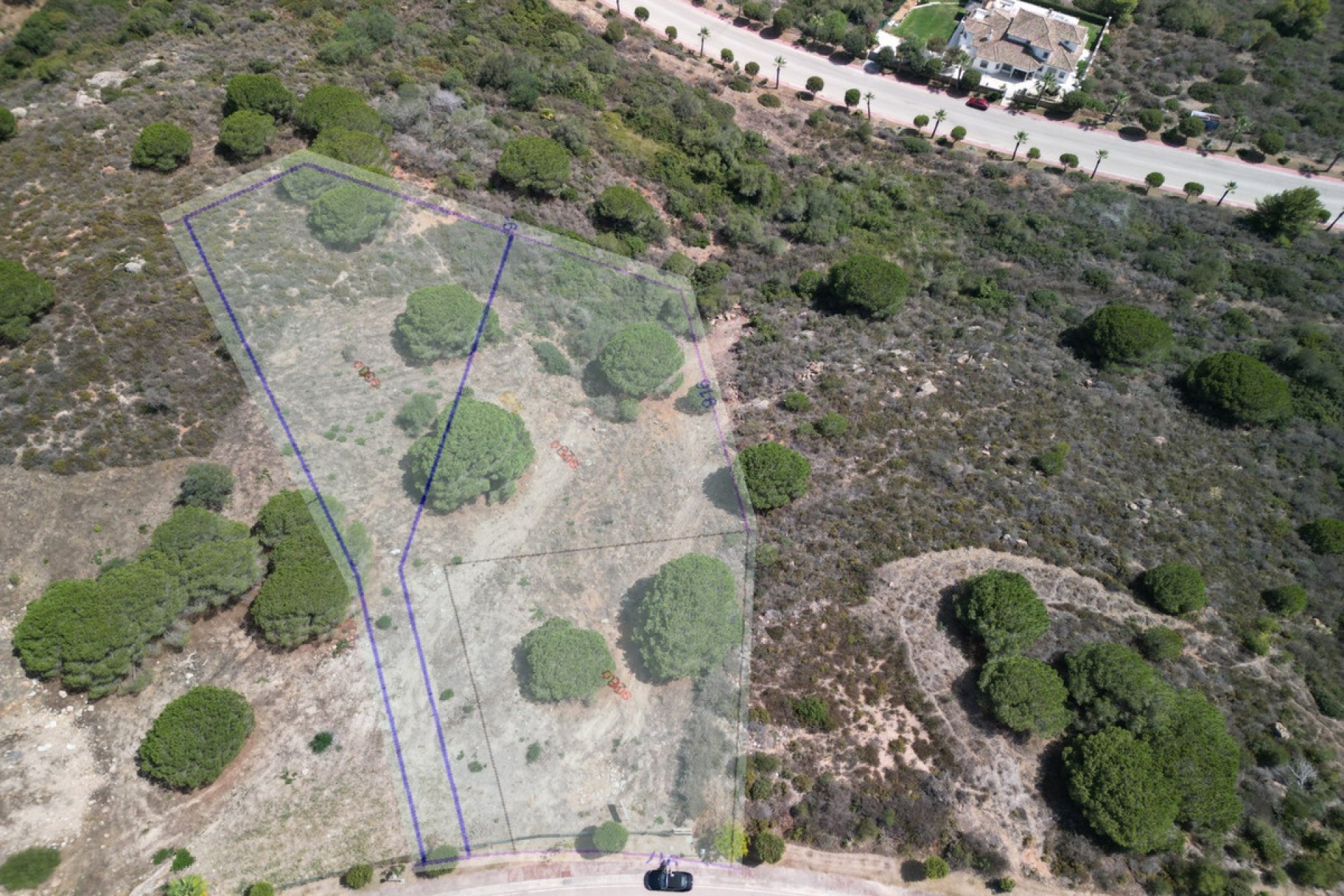 Resale - Plot - Land - Sotogrande