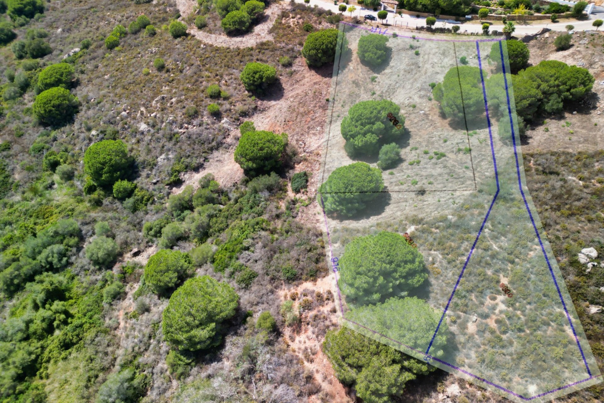 Resale - Plot - Land - Sotogrande