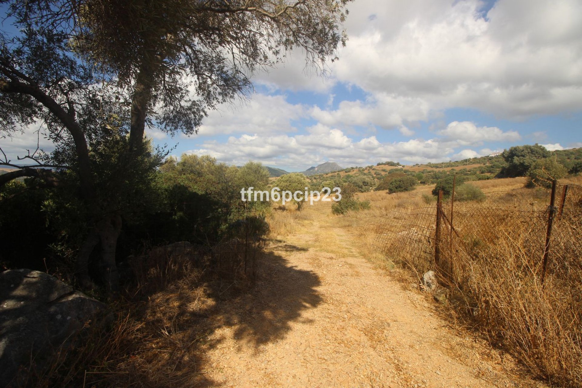 Resale - Plot - Land with Ruin - Casares - Casares Centro