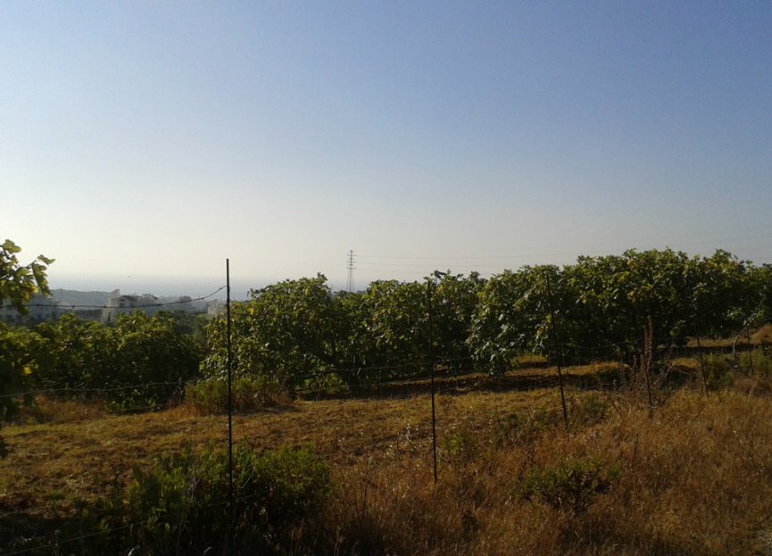 Resale - Plot - Land with Ruin - Casares - Casares Centro