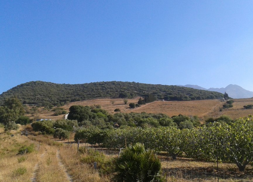 Resale - Plot - Land with Ruin - Casares - Casares Centro