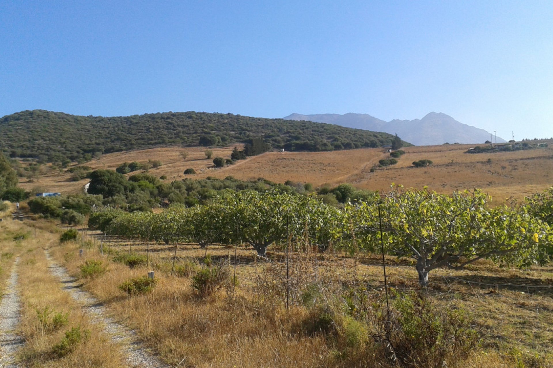 Resale - Plot - Land with Ruin - Casares - Casares Centro